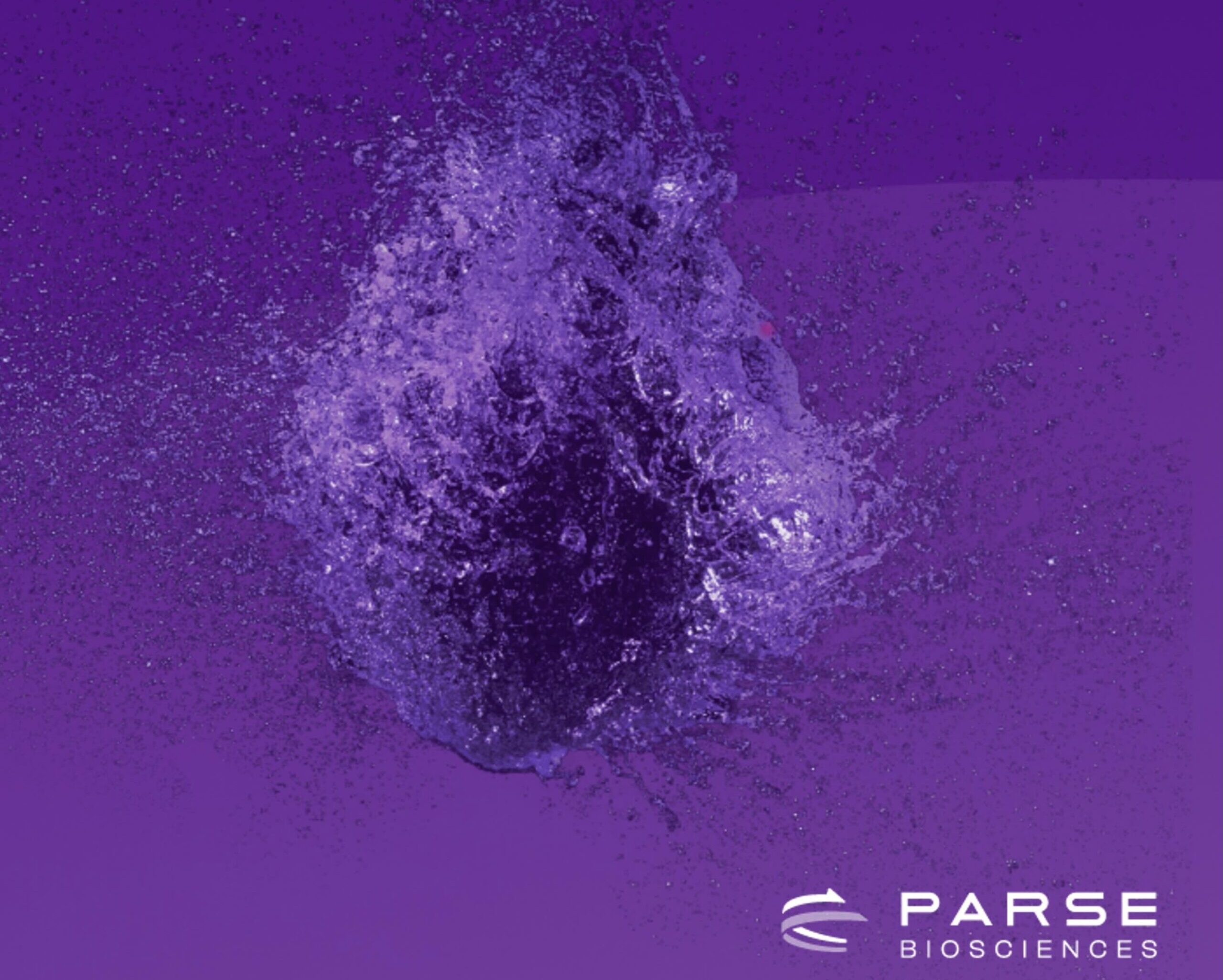Parse Biosciences Evercode WT v3